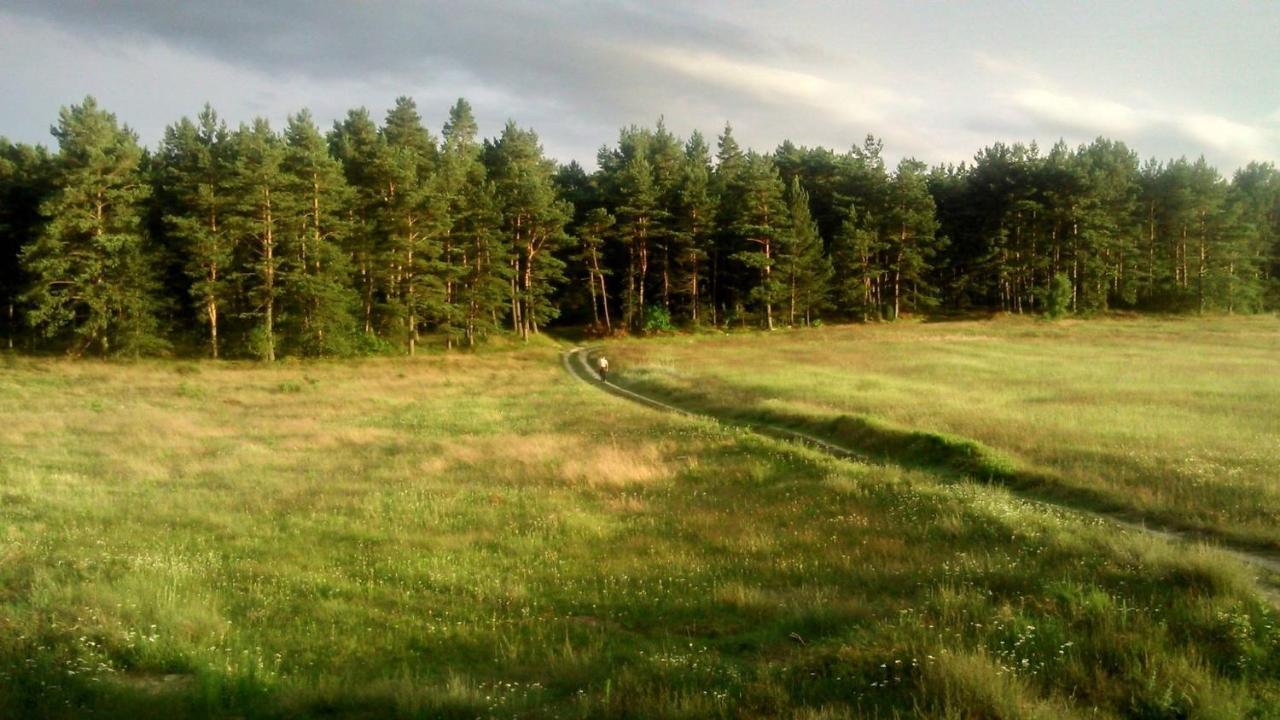 Pokoje Goscinne Weronika Ostrowo  Exteriör bild